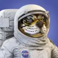 ASTRONAUT BULLVERSE