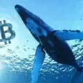 The Crypto Whales™