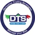 Derivative Trading Strategies