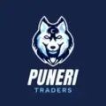 Puneri Traders | Marathi Share Market | Chart Analysis