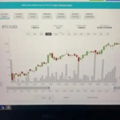 Lindys tab