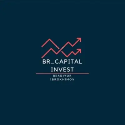 BR_capital invest