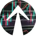 $RISE Token Official TA