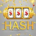 HASH international