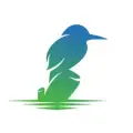 The Kingfisher Chat