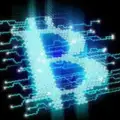 CryptoWhaleSignals❤️