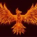 Phoenix Indicator and Strategies