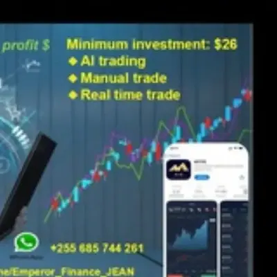 MTFE SIGNALS FREE