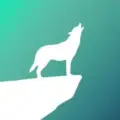 Crypto Alarm
