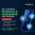 Pienexa