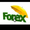 Forex Signals