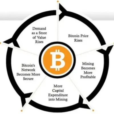 Bitcoin mining ⛏and Currency  Options trade