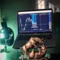 BRUCE forex ANALYSIS