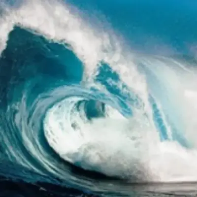 Forex Signals Ocean