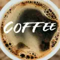 The Crypto Cafe   MOON IT