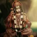 Hanuman Stock Options