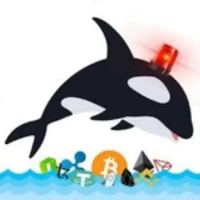 Whale alert