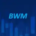 BWM (Beginners' Whitebook for Markets)