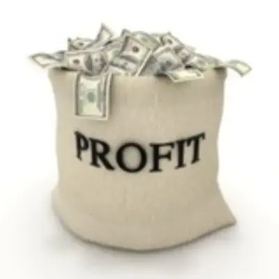 Investology