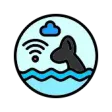 Whale Signals
