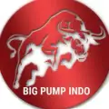 BIG PUMP IN..