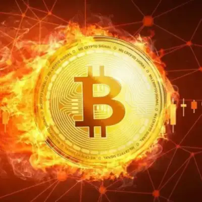 MS Crypto Signal