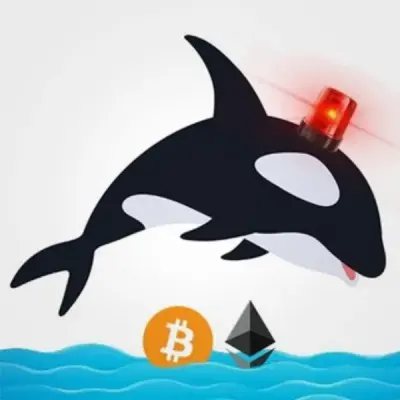 Whale Alert