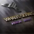 Whales Signals