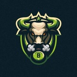 BRAVEBULL GLOBAL INVESTMENT SIGNALS🏅(Crypto/Forex Trading Signals, Crypto Investment, Binary, Staking, defi, stock.)