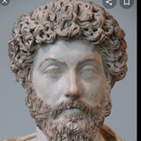 DJANGOO INSTITUTIONAL TRADER