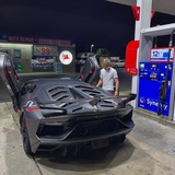 Forex/ Binary /Crypto /Trading