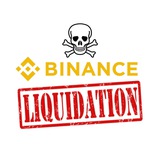 Binance Liquidation Alerts