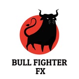 BULL FIGHTER FX