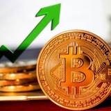 امیر سیگنال vip