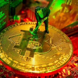 Experts in bitcoin/binary trade investment