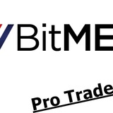 Bitmex Pro Traders