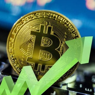 Signal Whales Arabia