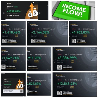 INCOME FLOW SIGNALS ™️