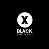 Black Forex Channel