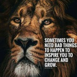 Trade channel for free signal