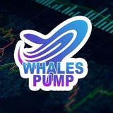 Big Pump  Crypto Whales Signals