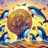 Binance Whale Tracker