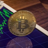 FAMC CRYPTO CAP-TRADER GAIN