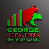 George digital forex