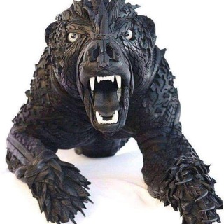 Free Top Crypto signal pump