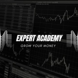 EXPERT ACADEMY FX