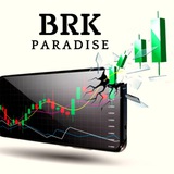 Breakout's Paradise Results & Feedback