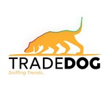 Crypto Wizards / TradeDog