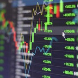 THE PATTERN TRADING COMPANY(ELITE PLATFORM)