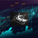 ANALYSIS MARKET NATURE